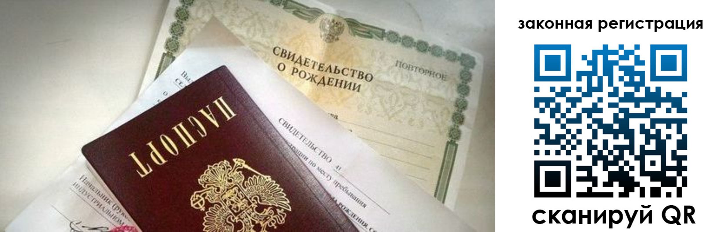 прописка поиск в Светлогорске